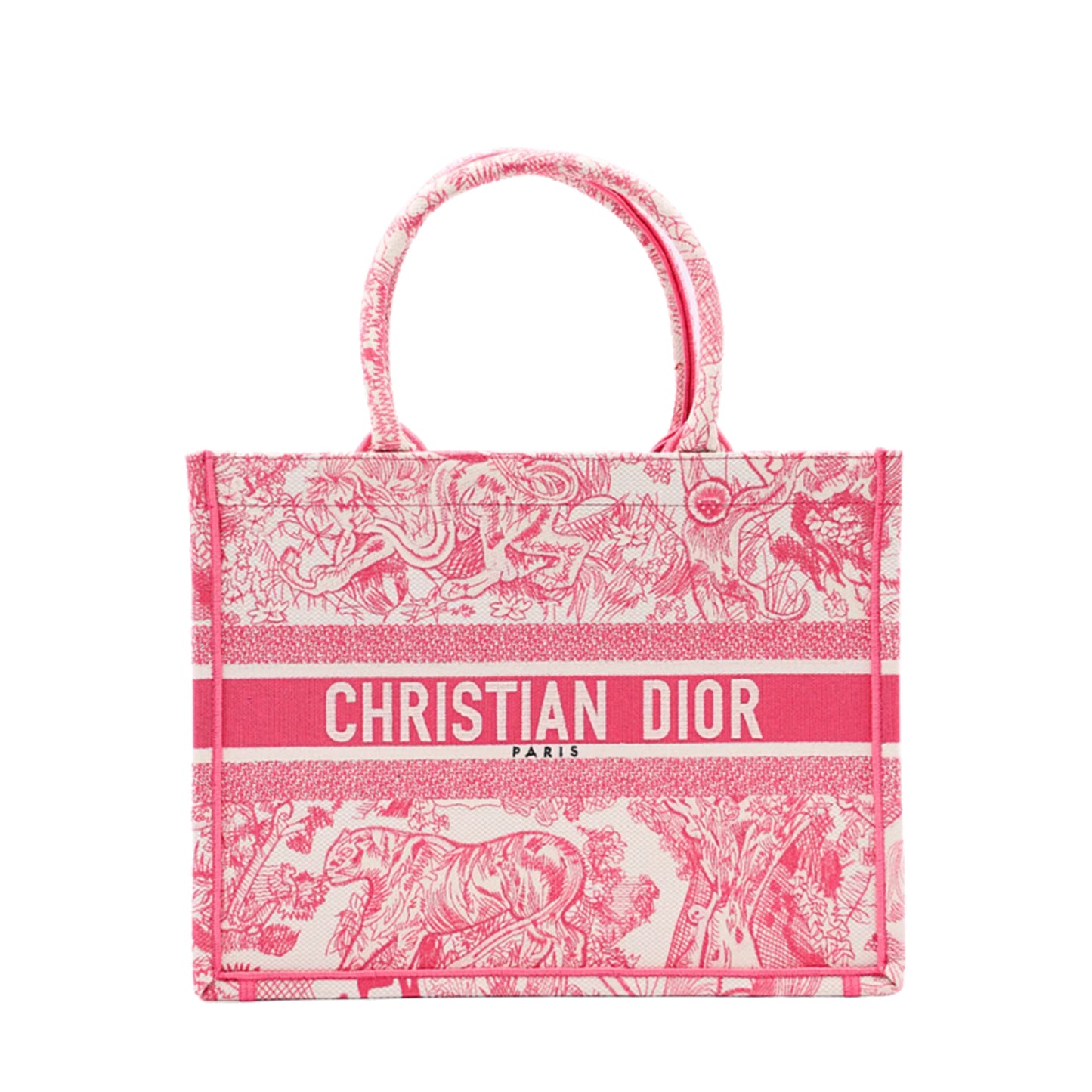 BOLSO DIOR BOOK TOTE