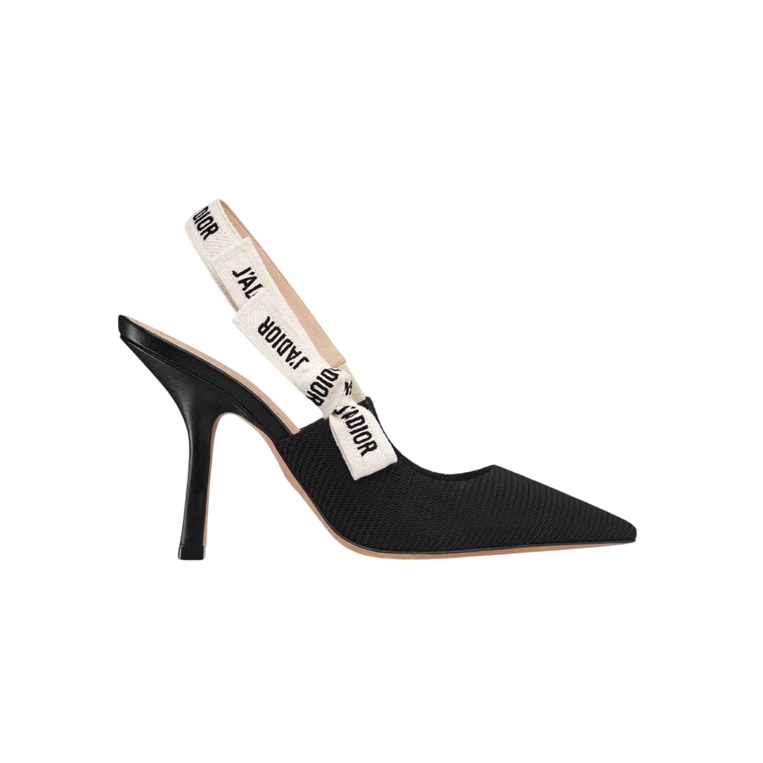 ZAPATO DIOR