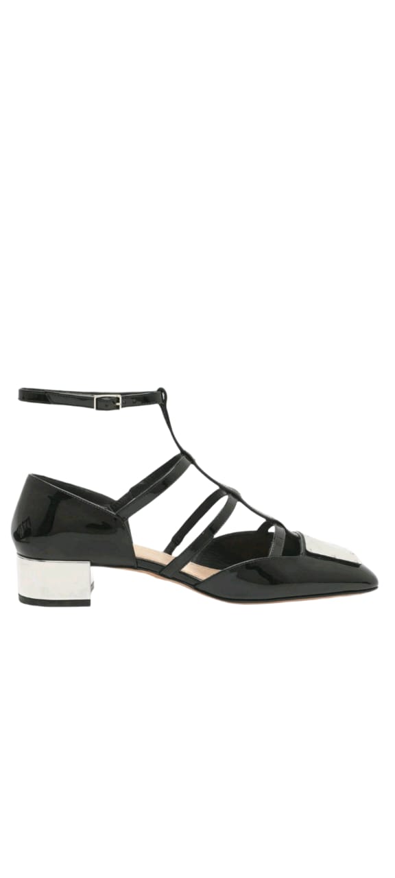 ZAPATO PARISIENNE DIOR