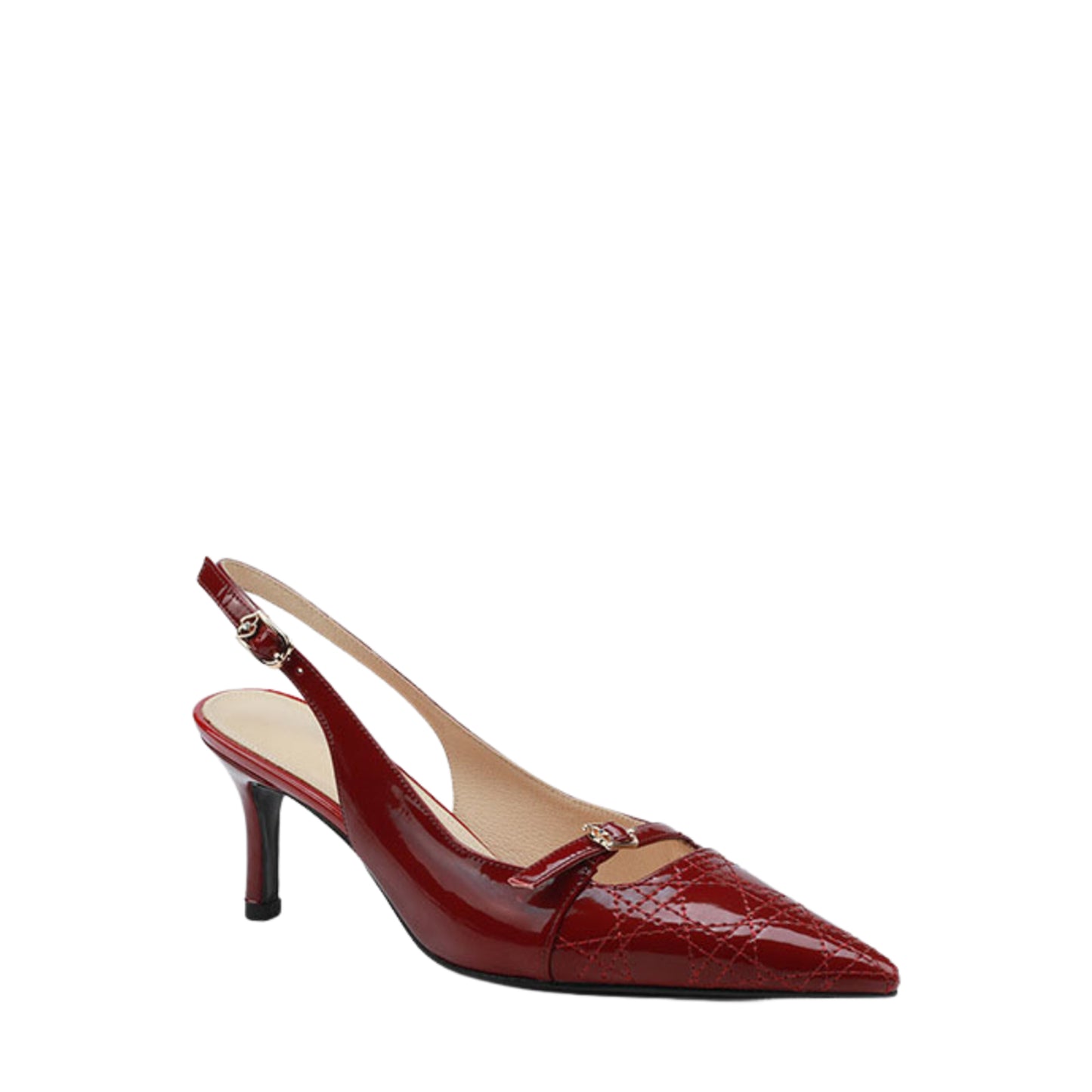 ZAPATOS DIOR